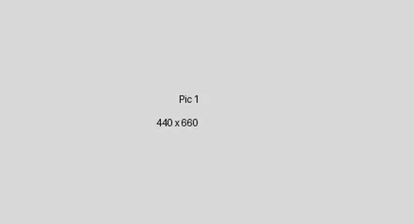 The syntax {D1,D2,...,Dn} denotes a tuple whose arguments are D1, D2, ... Dn.